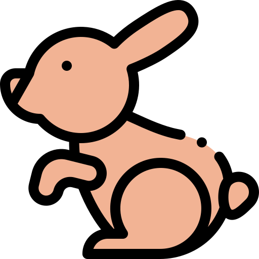 Chocolate bunny